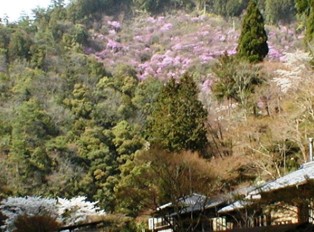 Takao Kanko Hotel Kyoto Extérieur photo